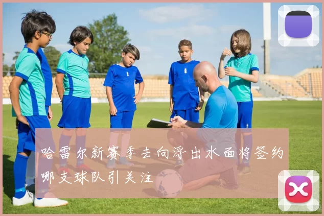 哈雷尔新赛季去向浮出水面将签约哪支球队引关注