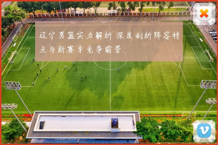 辽宁男篮实力解析 深度剖析阵容特点与新赛季竞争前景