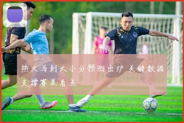 热火马刺大小分预测出炉 关键数据支撑赛果看点