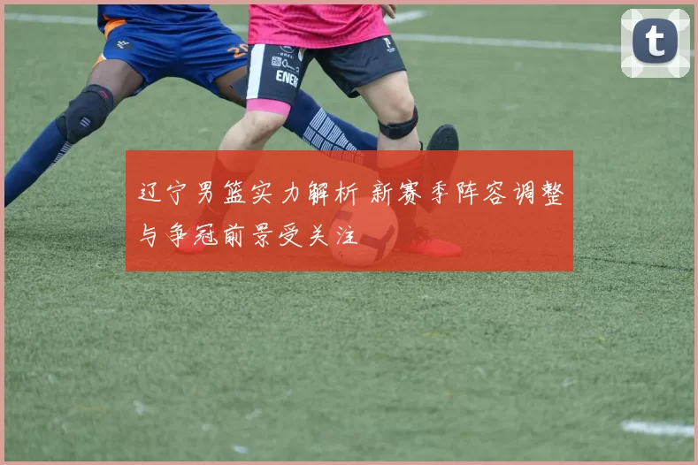 辽宁男篮实力解析 新赛季阵容调整与争冠前景受关注