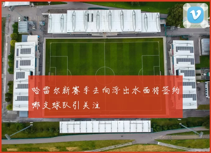哈雷尔新赛季去向浮出水面将签约哪支球队引关注